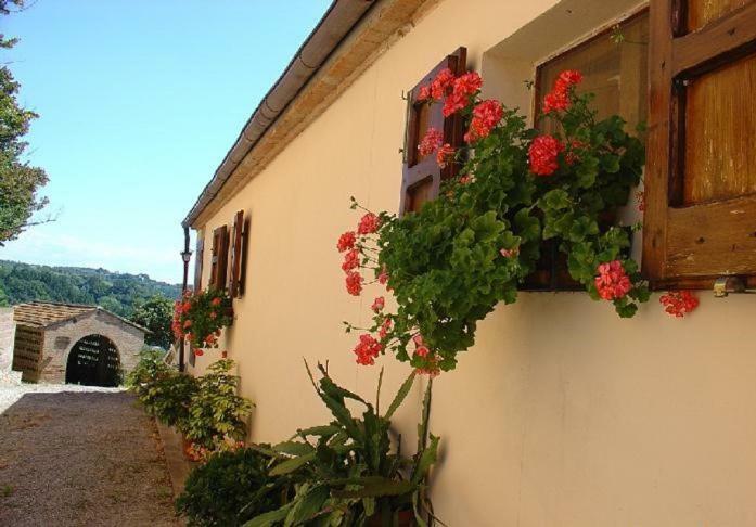 Fattoria Casanova Villa Palaia Bagian luar foto
