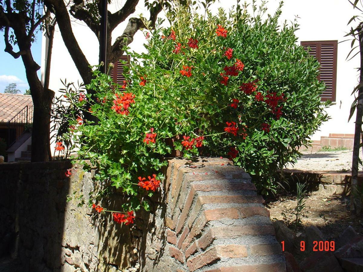 Fattoria Casanova Villa Palaia Bagian luar foto