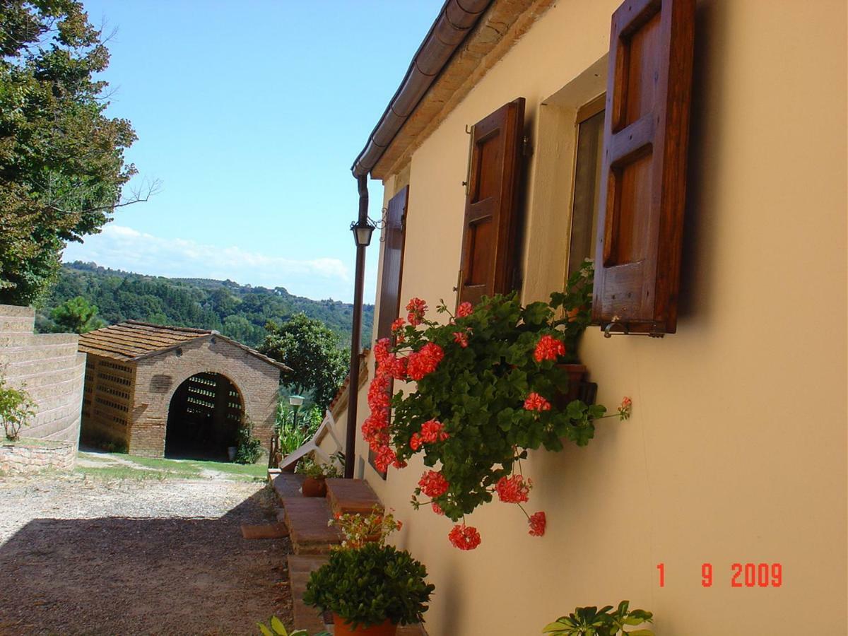 Fattoria Casanova Villa Palaia Bagian luar foto